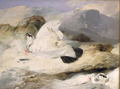 Ptarmigan by Edwin Landseer